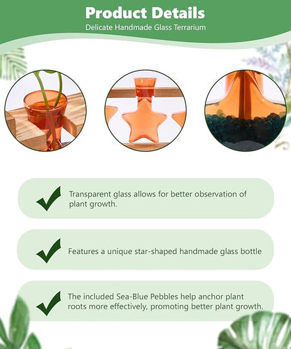 Nacome Star Glass Propagation Stations: Plant Terrarium with Wooden Stand Vase for Home Office Desk Decor, Unique Gifts for Plant Lovers Women Mom (Orange)
