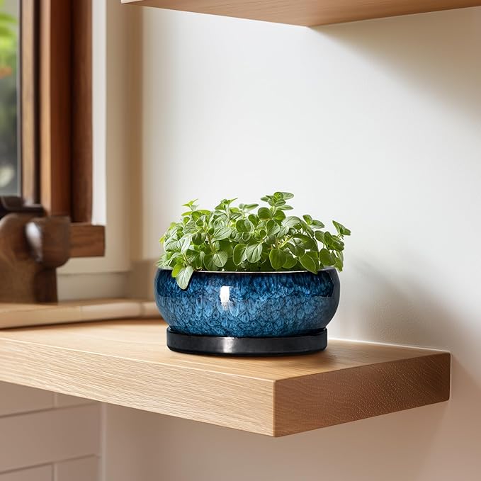 Succulent Pots - 6 Inch Ceramic Bonsai Pots with Drainage Hole and Saucer, Shallow Planter for Indoor Outdoor, Round Succulent Planter, Cactus Pot, Office Decor, Gifts for Plant Lovers, Blue