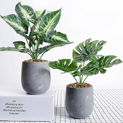 5 lbs Polished Pebbles, 3/8 Inch Pea Gravel for Plants, Decorative Stones River Rocks for Succulent Soil Cover, Cactus, Aquarium, Vase and Outdoor Garden Landscaping