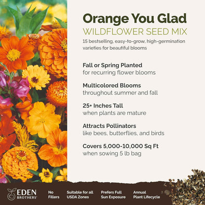 Eden Brothers Orange You Glad Flower Mixed Seeds for Planting, 5 lb, 2,400,000+ Seeds with Dahlia, Double Strawflower | Attracts Pollinators, Plant in Spring or Fall, Zones 3, 4, 5, 6, 7, 8, 9, 10