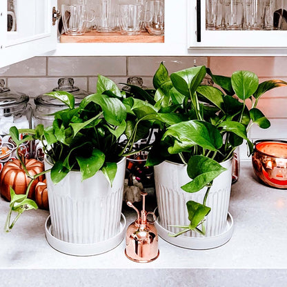 Watering Can Indoor Plants - Copper Plant Mister - Stylish and Rust Resistant Watering Cans for Healthy Hydration - Prevents Overwatering