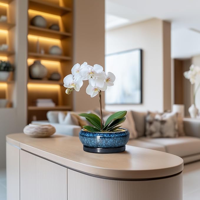 Succulent Pots - 6 Inch Ceramic Bonsai Pots with Drainage Hole and Saucer, Shallow Planter for Indoor Outdoor, Round Succulent Planter, Cactus Pot, Office Decor, Gifts for Plant Lovers, Blue