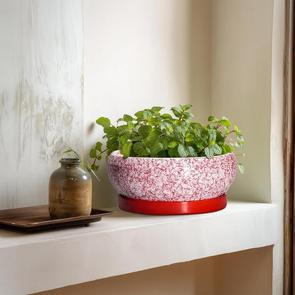 Succulent Pots - 8 Inch Bonsai Pots for Indoor Outdoor, Shallow Ceramic Planter with Drainage Hole and Saucer, Round Flower Succulent Planters, Room Decor, Gifts for Plant Lovers, Red