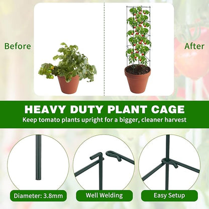 6 Packs Tomato Cages for Garden, 12"×12"×48" Plant Support Cage with Different Spacing, Green Metal Trellis for Climbing Plants Like Cucumber, Flowers