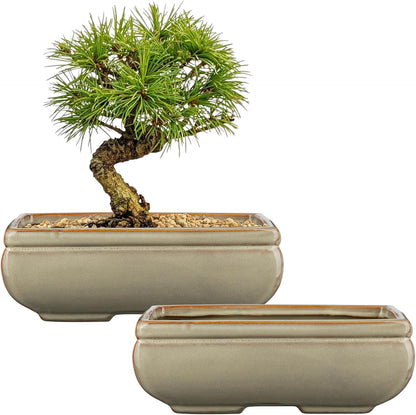 Ceramic Bonsai Pots with Drainage Hole, Set of 2 Rectangular Glazed Bonsai Planters for Indoor/Outdoor Use, Shallow Brown Bonzai Tree Pots for Succulent, Orchids, Cacti, Home, Patio, Garden, 8.7"x5.9"