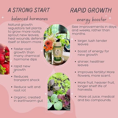 VermisTerra Vitality 8 oz - Houseplant and Indoor Plant Food, Mother Earth's Balanced Fertilizer, Organic, Root Cuttings, No Harmful Chemicals, will not burn plants, Lush Growth. No Odor, Reduce Shock