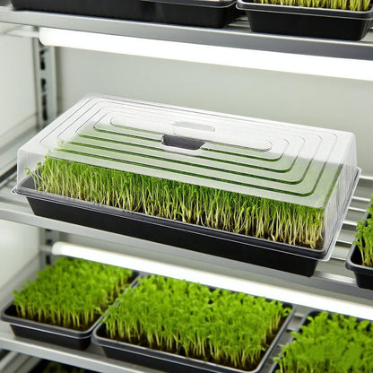 5-Pack 1020 Seed Trays with Humidity Domes - Reusable Heavy Duty Plant Propagation Trays, 3.6" 1020 Clear Greenhouse Covers & Handle for Seedlings, Cloning, Microgreens (No Holes Design)
