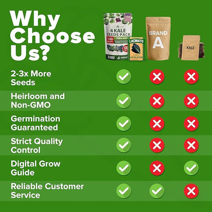 HOME GROWN 𝗨𝗦𝗔 𝗣𝗥𝗘𝗠𝗜𝗨𝗠 Heirloom Vegetable Seeds 𝗡𝗢𝗡-𝗚𝗠𝗢 Vegetable Seeds for Planting Home Garden, Beans, Carrots, Peppers, Cucumber, Kale, Pepper Seeds, Tomato (4 Kale)