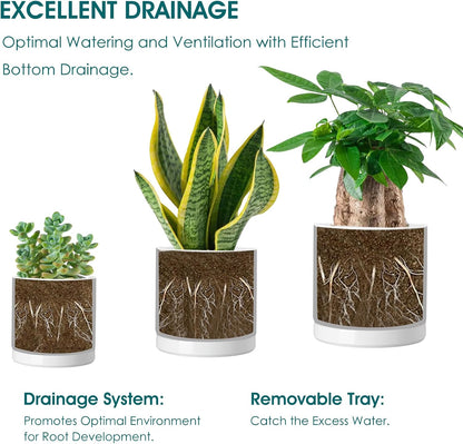 vancasso Ceramic Plant Pots, 3 Piece Planters for Indoor Plants, 4.25+5.25+6.25 Inch Flower Pots with Drainage, Plant Pots Indoor for Succulent, Pothos, Snake Plant and Money Tree, Etc (White)