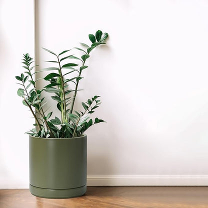 D'vine Dev Set of 2 Plants Pots, 8.2 Inch Ceramic Planter Pot for Plants with Drainage Hole and Saucer, Olive, 94-V-D-J