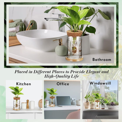 Baderke 12 Packs Propagation Vases for Plants Plastic Plant Propagation with Hole Lid and Bamboo Stand Growing in Water Hydroponic Home Office Desktop Vase Decoration(Classic Style)