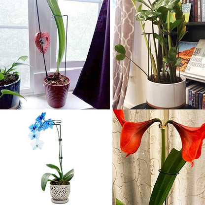 10 pcs 20 inch Metal Single Stem Flower Plant Support Stakes and Rings for Amaryllis Orchid Lily Sunflower Rose Narcissus