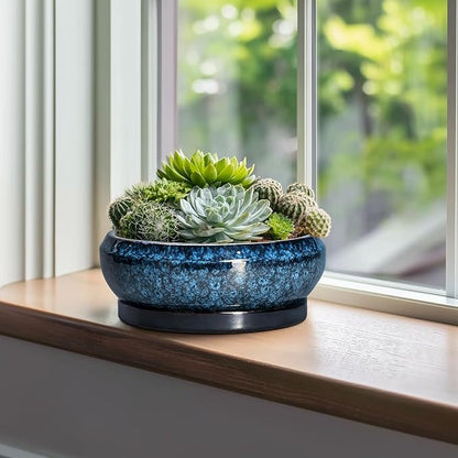 Bonsai Tree Pots 10 Inch - Ceramic Succulent Pot with Drainage Hole and Saucer, Bonsai Pots for Indoor Outdoor, Round Succulent Planter, Shallow Planter, Desk Decor, Plant Lover Gifts, Blue