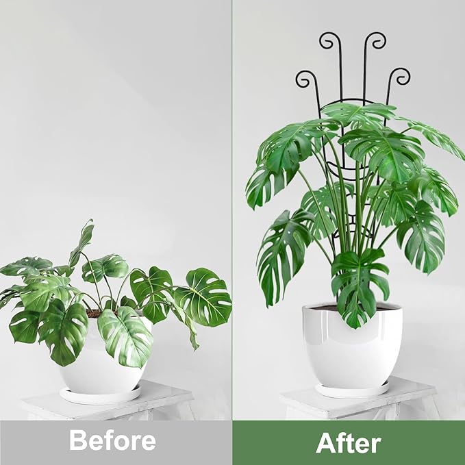 32.6in Monstera Plant Support Stakes for Indoor Plants, Metal Garden Plant Trellis for Climbing Plants, Pothos Vine Snake Climber Support，2p