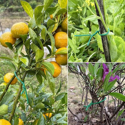 Tenn Well Plant Ties for Climbing Plants, 66 Feet 2.8mm Green Garden Wire Ties for Tomato Plants, Climbing Roses, Trellises, Gardening Supplies (2PCS x 33 Feet)