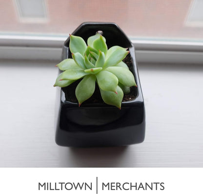 Milltown Merchants Succulent Wall Planter - Wall Vase - Black Ceramic Wall Mounted Planter - Succulent Plant Pot - Hanging Vase for Living Wall (1 Pack/Contemporary/Black)