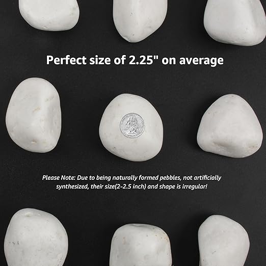 10lbs White Natural River Rocks, Polished Pebbles for Plants Garden, 2-3 inch Decorative White Stones, Ideal for Fish Tank, Vases, Crafting, Home Decor and Garden Landscaping Rocks