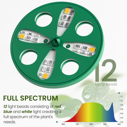 MIXC Seed Starter Kit with Grow Light, Elevated Seedling Tray Kit with Adjustable Humidity Dome and Clear Cell Tray, 12 Full Spectrum Led Beads for Seed Starting Greenhouse, 4 Pack, Green