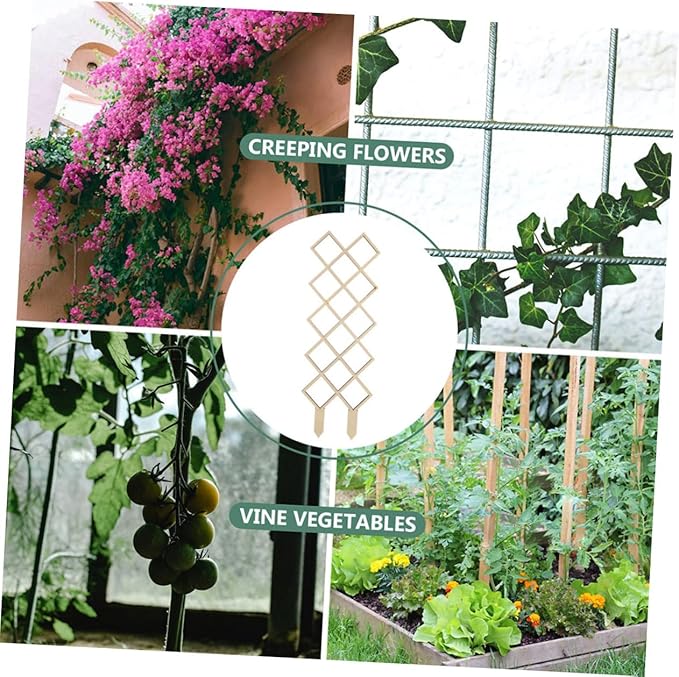 Wooden Plant Trellis Climbing Support with Elegant Honeycomb Design Indoor Garden Frame for Vines Orchids Tomatoes Easy Assembly Versatile Climbing Vegetable and Indoor Plant Stand