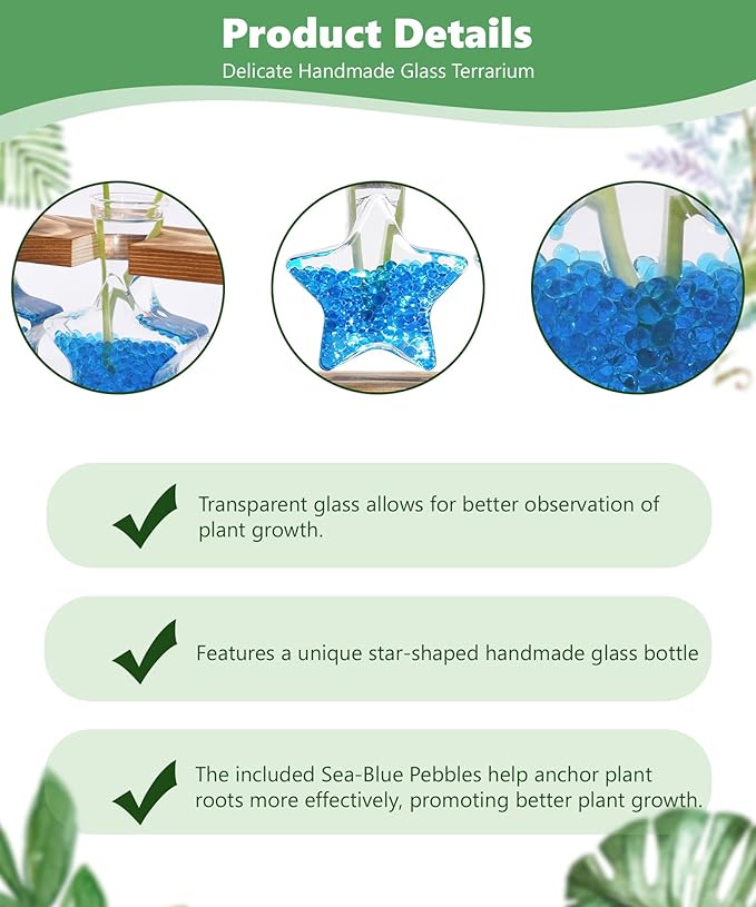 Nacome Star Glass Propagation Stations: Plant Terrarium with Wooden Stand Vase for Home Office Desk Decor, Unique Gifts for Plant Lovers Women Mom