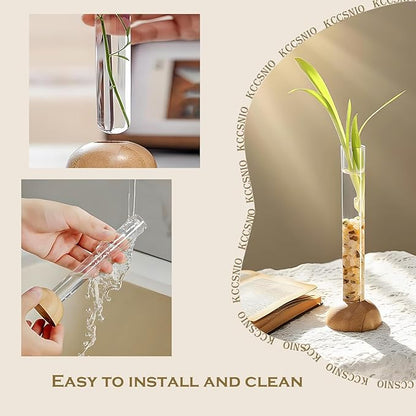 Desktop Glass Plant Propagation Station with 1 Tubes and Wooden Stand - Hydroponic Plant Cuttings Holder for Office Desk, Home Decor, Terrarium