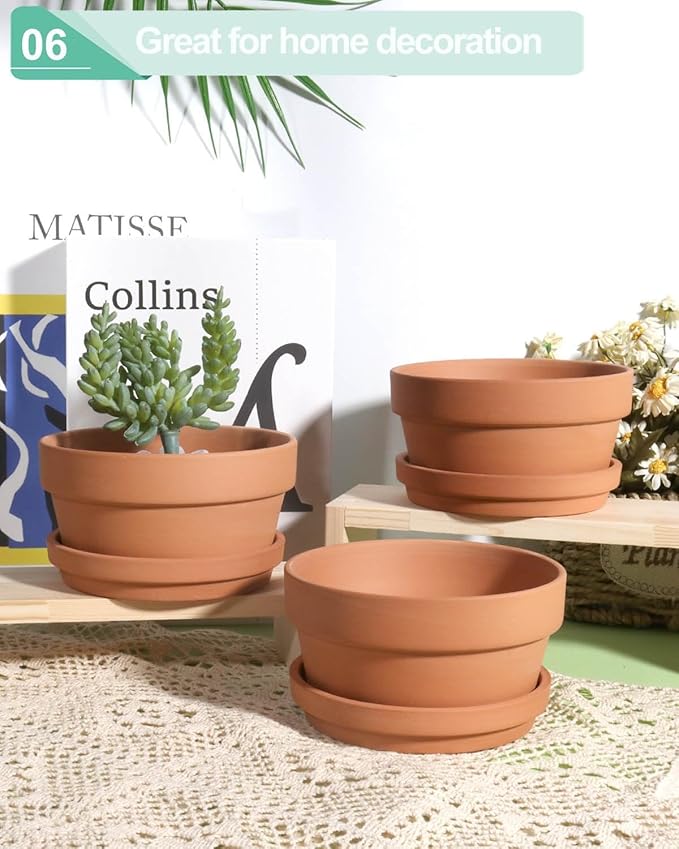 vensovo 5.7 Inch Terracotta Shallow Succulent Pot - 6 Pack Terra Cotta Clay Pots with Saucer, Cacuts Terra-Cotta Indoor and Outdoor Planters with Drainage Hole