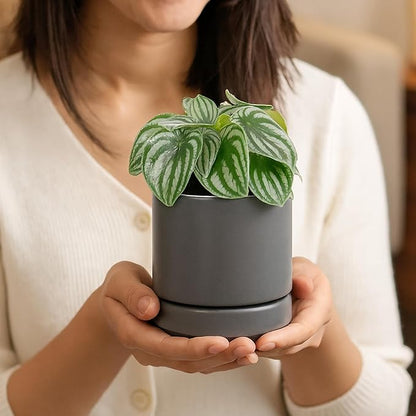 D'vine Dev Set of 2 Plants Pots, 4.7 Inch Ceramic Planter Pot for Plants with Drainage Hole and Saucer, Speckled Grey, 94-V-B-3