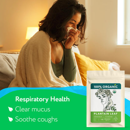 Plantain Leaf Organic (4 oz.) – Broadleaf Plantain Tea Loose Leaf (Plantago Major) – Llanten Planta Medicinal - Herbal Tea for Digestion, Respiratory Health & Detox