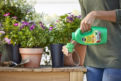 Miracle-Gro Pour & Feed Plant Food (Liquid), 32 fl. oz. (6 Pack)