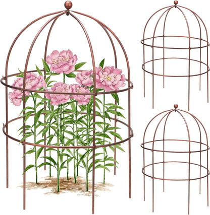 2 Pcs Jardin Bird Cage Plant Support 25" H Large Sturdy Grow-Through Flower Support Peony Cage Climbing Plant Support Trellis Sculptural Garden Decor for Perennial Flowers Vintage Gold
