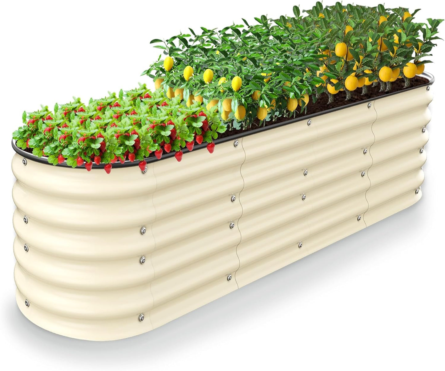 Raised Garden Beds 8 X 2 X 1.4Ft, Galvanized Raised Garden Beds Outdoor Planter Box for Vegetables, Gardening, Flowers, Fruits etc (Ivory)