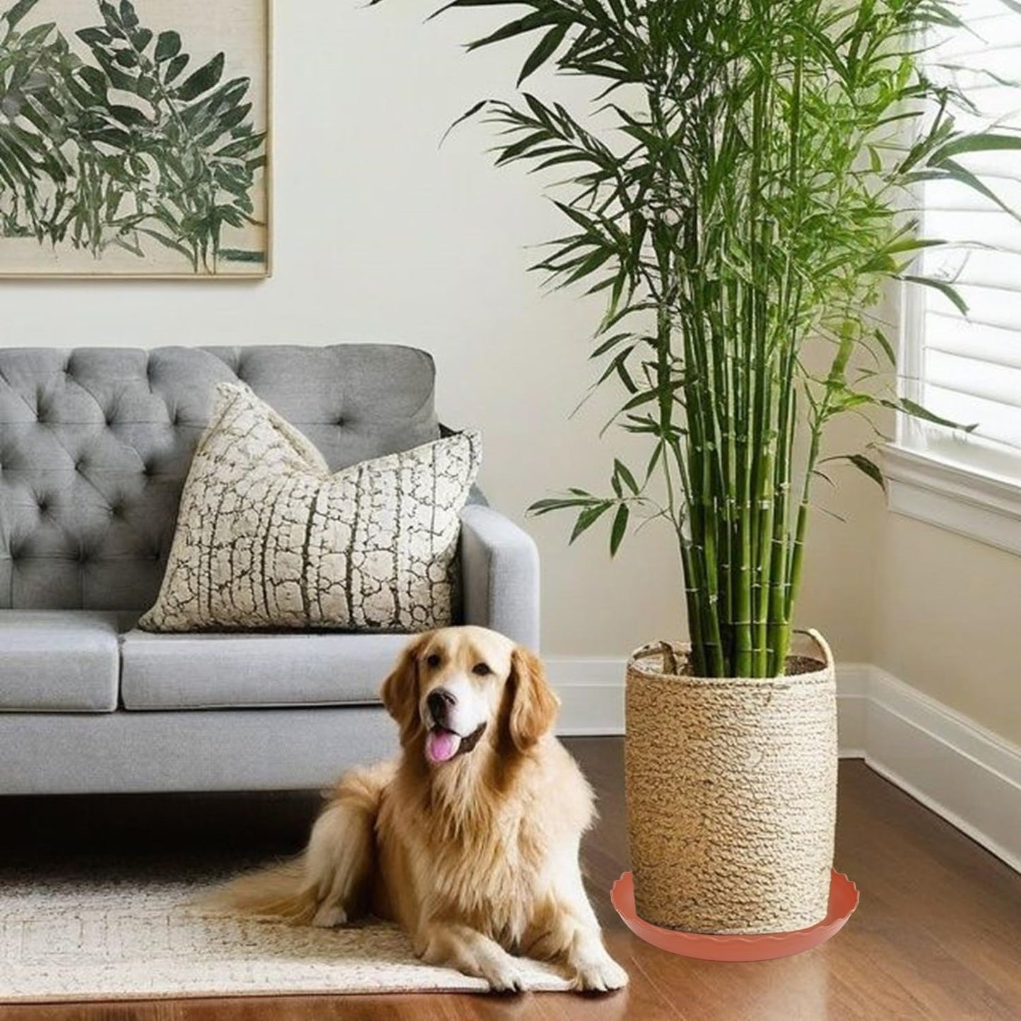 Large Plant Saucer 16 inch, 2 Pack Heavy Sturdy Plastic Plant Tray for Planter, Flower Saucers for Indoors, Flower Pots Saucers, Plant Drainage Tray Round (Terracotta)