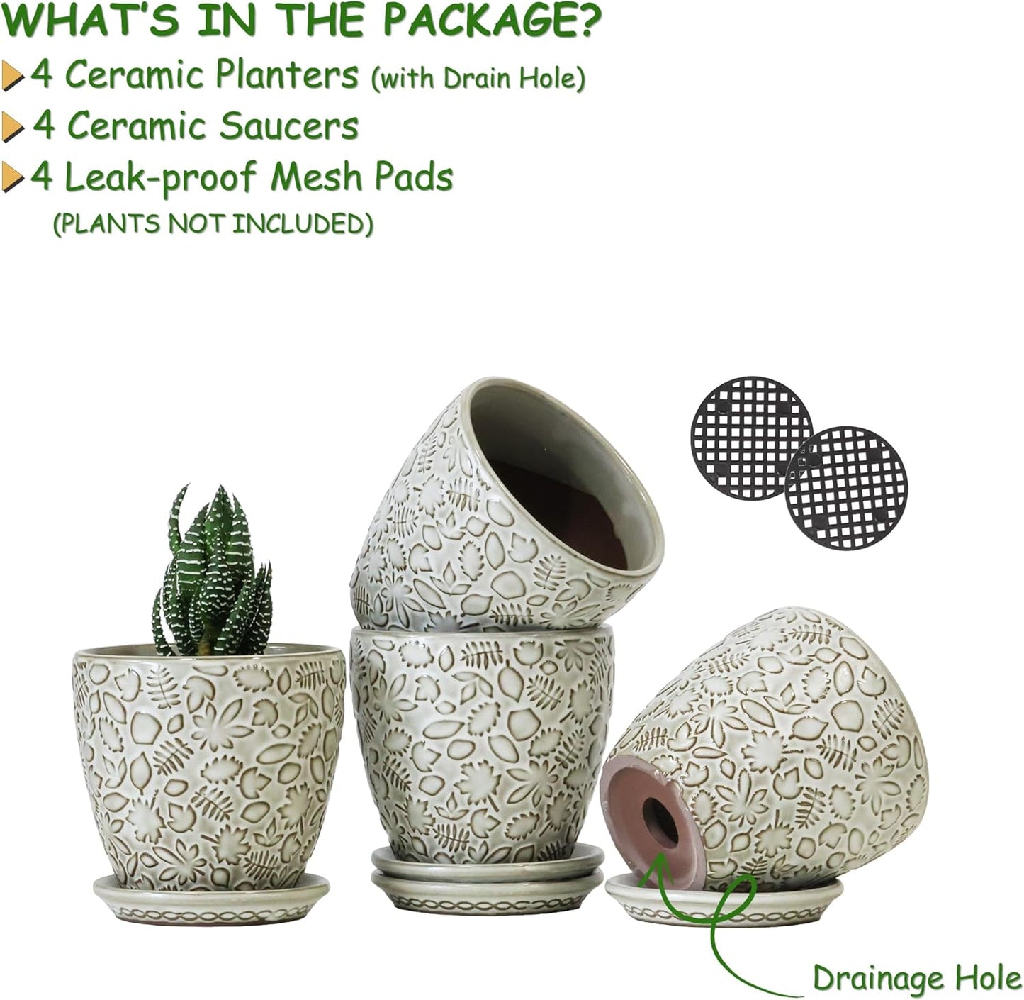 4 Inch Mini Plant Pots, Ceramic Succulent Planter with Drainage Hole and Saucers for Indoor Plants, Small Garden Pots for Succulent, Herb and Flower, Set of 4