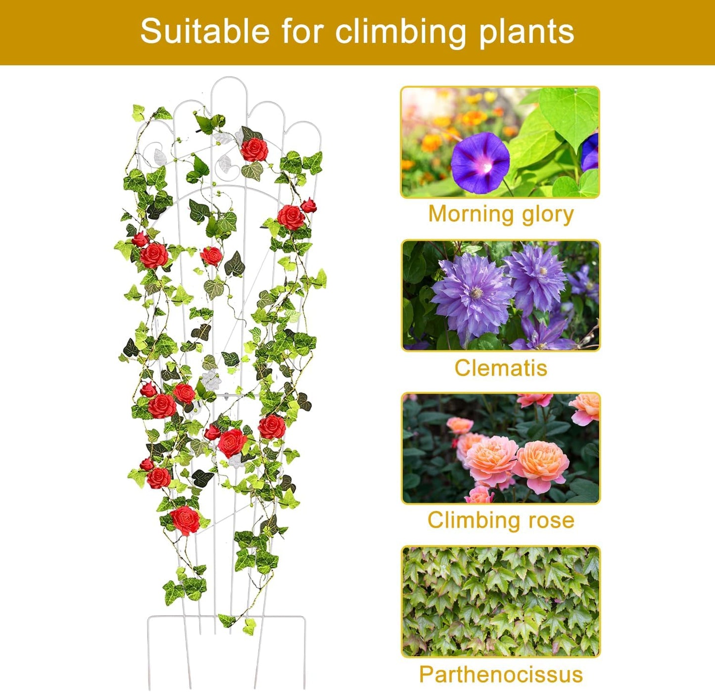 Metal Detachable Trapezoidal Garden Trellis for Climbing Plants, 60 Inches Sturdy Patio Plant Support for Indoor Plants Trellis for Rose, Vegetable Flower, Backyard Pack of 2 - White