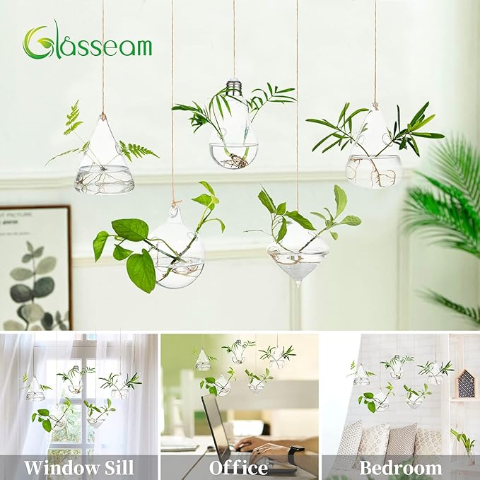 Glasseam Hanging Planters Glass Terrarium: 5Pcs Modern Plant Propagation Stations Hydroponic Wall Vases for Air Plants Flowers Indoor Window Home Decor