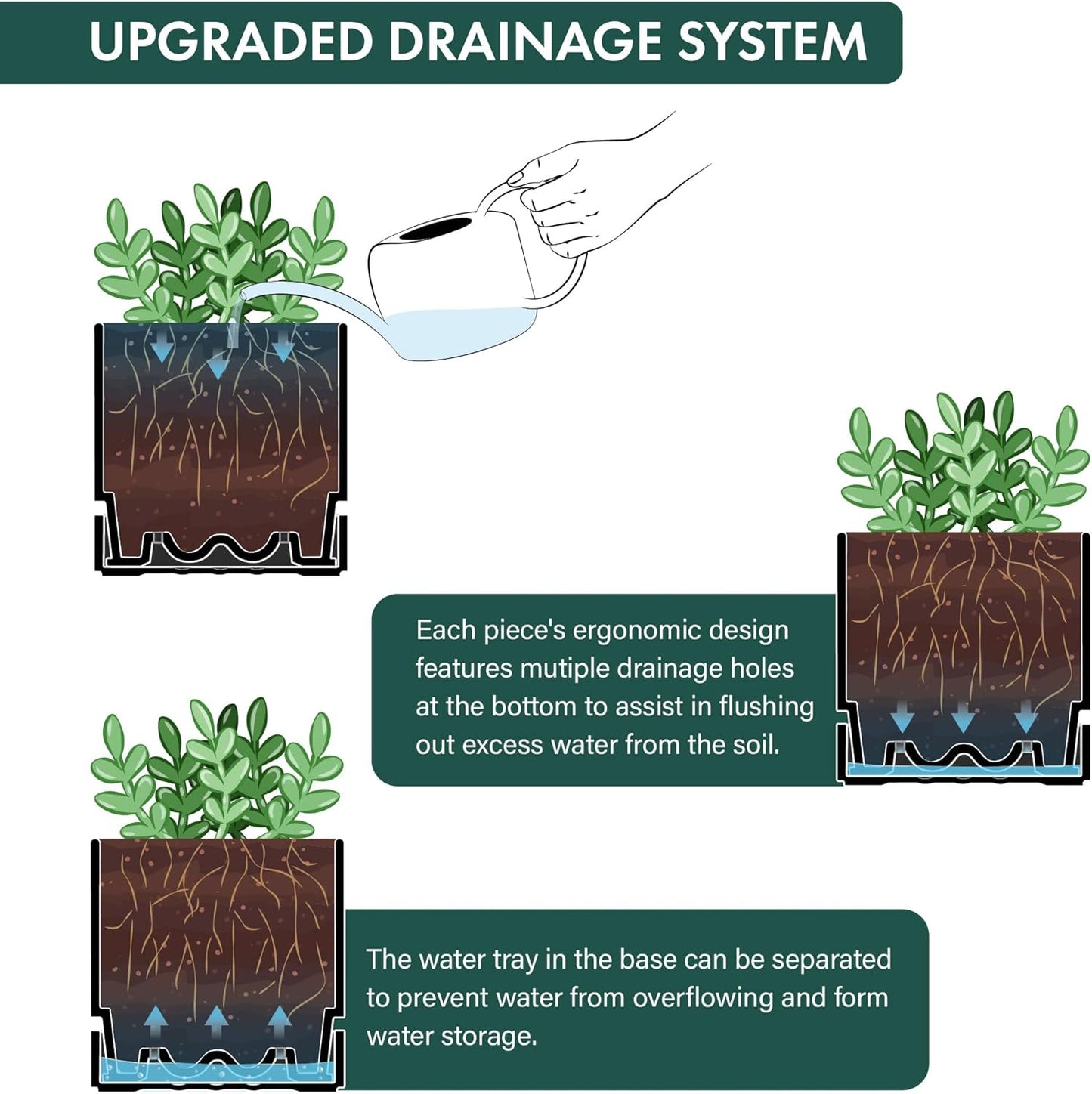Phoenix Vine 6 Inch Planter Pot with Drainage Hole & Saucer, Deep Water Catch Tray, Straight Cylindrical Round Pot for Plants, Matte Black, Pack of 1, 23-C-S-1