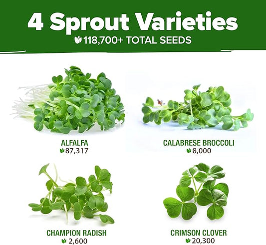 HOME GROWN Premium Sprouting Seeds Mix - Microgreens Seeds for Indoor Growing - Non-GMO Broccoli, Alfalfa, Radish, Clover Sprouts Seed - 16oz Resealable Pack for Healthy Salad & Juicing