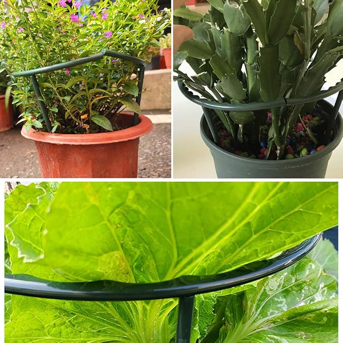10 Pack Plant Support Plant Stakes Metal Half Round Search Support Ring Small Plastic Cage Holder Short Stem Flower Pot Climbing Trellis for House Flower Vegetable Indoor Leafy(5.7 x 5.9nch)