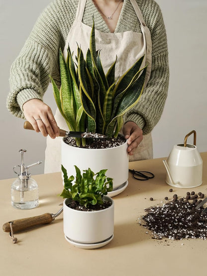 LE TAUCI Ceramic Plant Pots, Set of 2, 8 & 10 Inch Plant Pots Indoor with Saucer and Drainage, Modern Durable Planters for Home Decor, Great Gift for Plant Lover, White