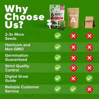 6 Mint Varieties – 600+ Heirloom Herb Seeds 𝗡𝗢𝗡-𝗚𝗠𝗢 𝗨𝗦𝗔 Peppermint, Spearmint, Mountain, Wild, Anise Hyssop, Common Mint | Indoor Outdoor Garden, Pots, Tea, Medicinal Use