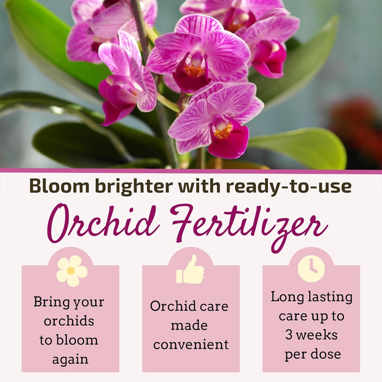 Liquid Orchid Fertilizer Spikes | Ready-to-Use Orchid Food Spikes & Orchid Plant Food for Blooming, Fertilizer for Orchids (8 Drip Feeders)