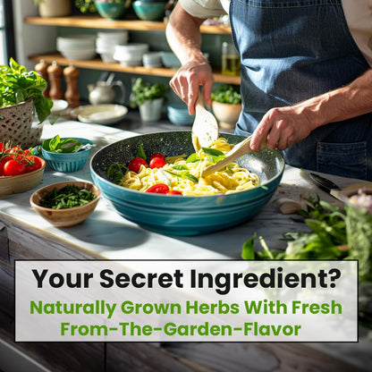 5 Herb Seeds Variety Kit, Oregano, Cilantro, Parsley, Basil, Chives