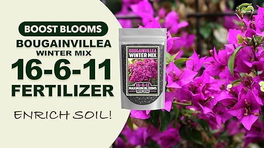 Fertilizer Commercial Grade | Bougainvillea Winter Mix 16-6-11 | 1 Pound | Custom Professional Mix | Cold-Season Bloom Formula | Controlled Release Nutrition | Micronutrients | Vivid Color & Growth