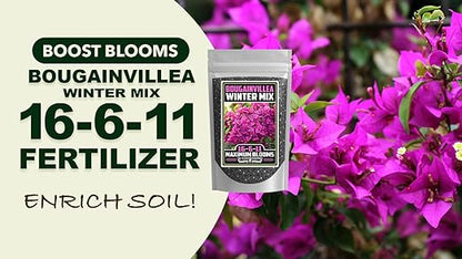 Fertilizer Commercial Grade | Bougainvillea Winter Mix 16-6-11 | 3 Pounds | Custom Professional Mix | Cold-Season Bloom Formula | Controlled Release Nutrition | Micronutrients | Vivid Color & Growth
