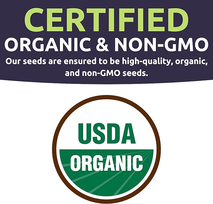 Organic Container Garden Seeds Variety Pack - 10 Individual Packs - 2025 Season - Ruquette arugula, Genovese Basil and More! for Indoor & Outdoor Planting (Non-GMO, Certified Organic)