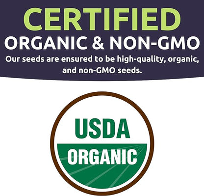 Organic Herb Seeds Variety Pack - 10 Individual Packs - 2025 Season - Basil, Cilantro, Dill, Thyme, Parsley and More! for Indoor & Outdoor Planting (Non-GMO, Certified Organic)