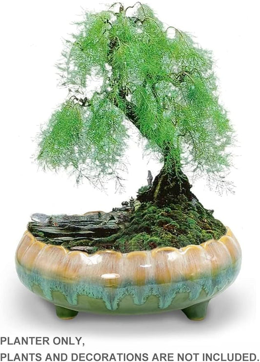 Dahlia 8.3'' Inch Large Shallow Drip Glazed Ceramic Planter/Succulent Pot/Plant Pot, Green