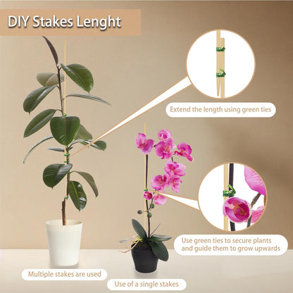 50PCS Bamboo Plant Stakes, 18Inch Natural Bamboo Sticks Garden Stake, HAINANSTRY Plant Support Stakes for Indoor and Outdoor Plants, Stakes for Gardening, Orchid Tomato Vegetable Stakes for Garden