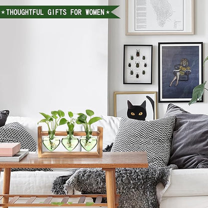 Plant Terrarium Propagation Stations Faith Hope Love Hydroponics Home Garden Decoration Gift for Women with Wooden Stand Heart Shaped Colored Glass Vase