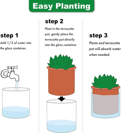 Phoenix Vine 4 Inch Self Watering Plants Pot, Design Terracotta Pot for Plants, Indoor Cylinder Terra Cotta Planter with Glass Vase, Set of 1, 51-A-E-1